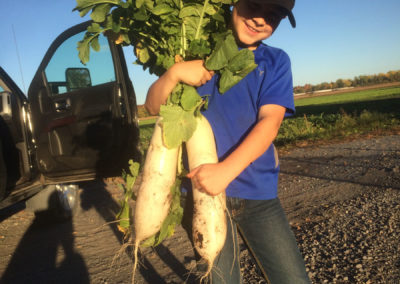 kid holding large white turnip
